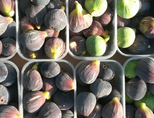 Dark and light figs